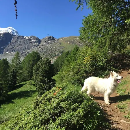 Bella Vista Hotel 3*