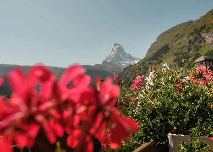 Bella Vista Zermatt